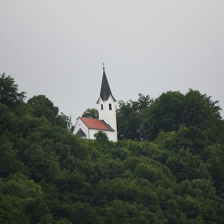 Guesthouse Ob Sotocju Budic Brežice Buitenkant foto