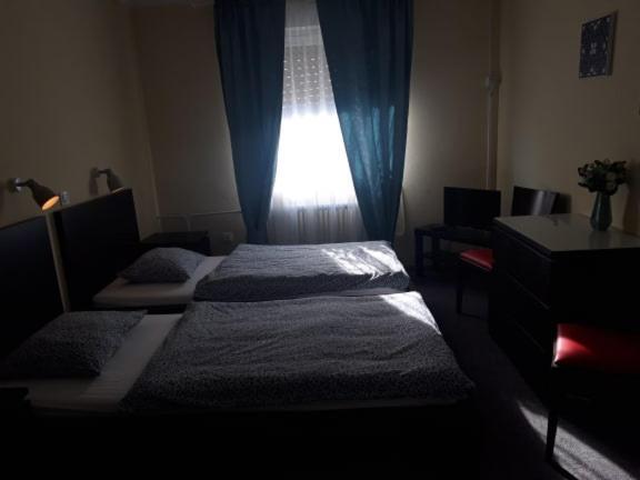 Guesthouse Ob Sotocju Budic Brežice Buitenkant foto